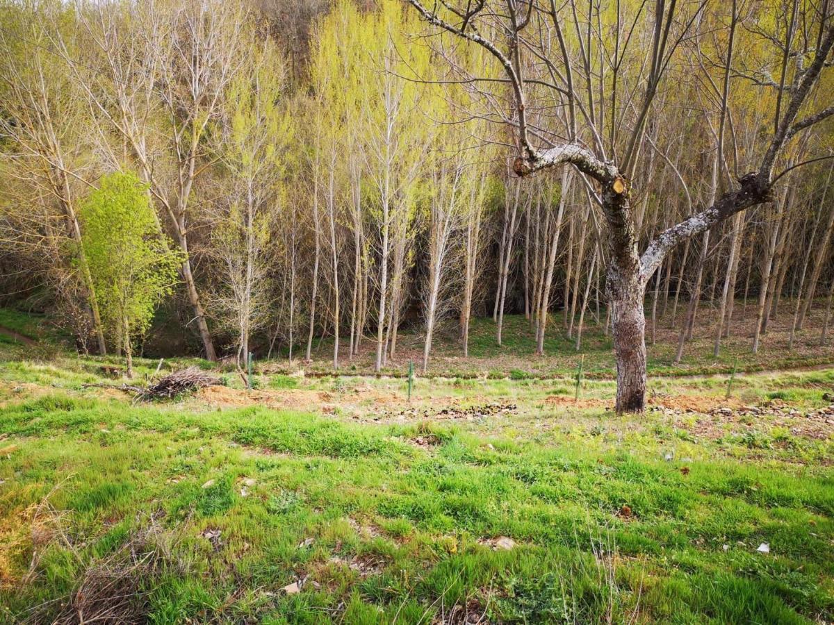 Alojamento Local Madre De Cima Vinhais Zewnętrze zdjęcie