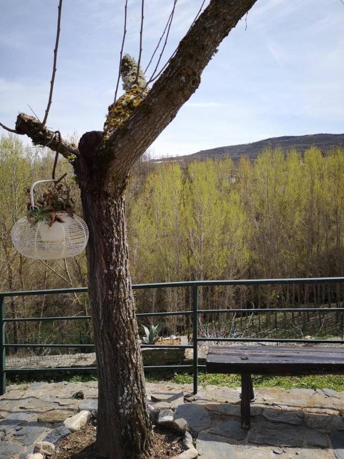 Alojamento Local Madre De Cima Vinhais Zewnętrze zdjęcie