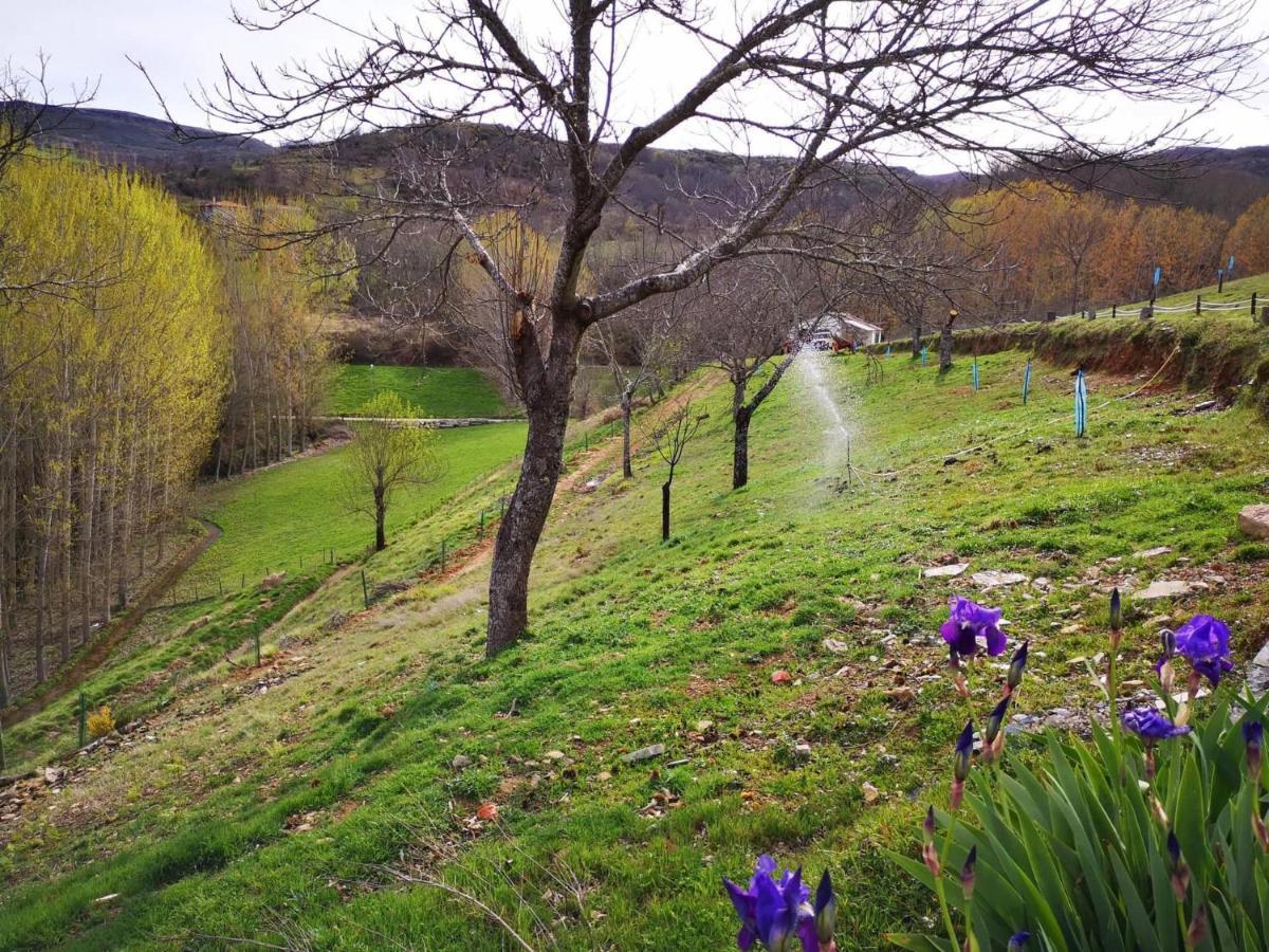Alojamento Local Madre De Cima Vinhais Zewnętrze zdjęcie