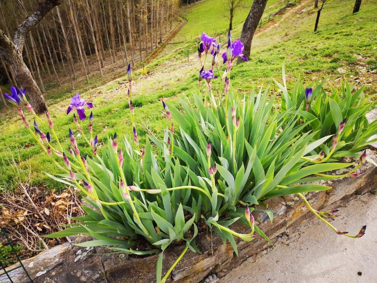 Alojamento Local Madre De Cima Vinhais Zewnętrze zdjęcie