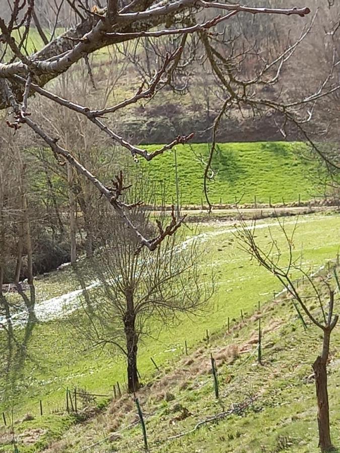 Alojamento Local Madre De Cima Vinhais Zewnętrze zdjęcie