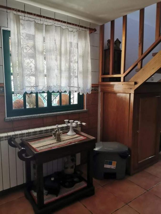 Alojamento Local Madre De Cima Vinhais Zewnętrze zdjęcie