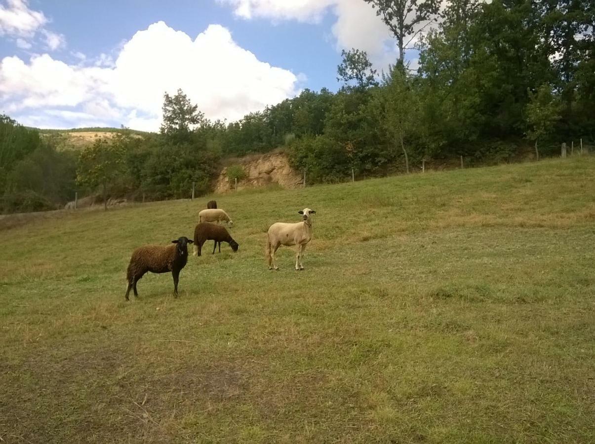 Alojamento Local Madre De Cima Vinhais Zewnętrze zdjęcie