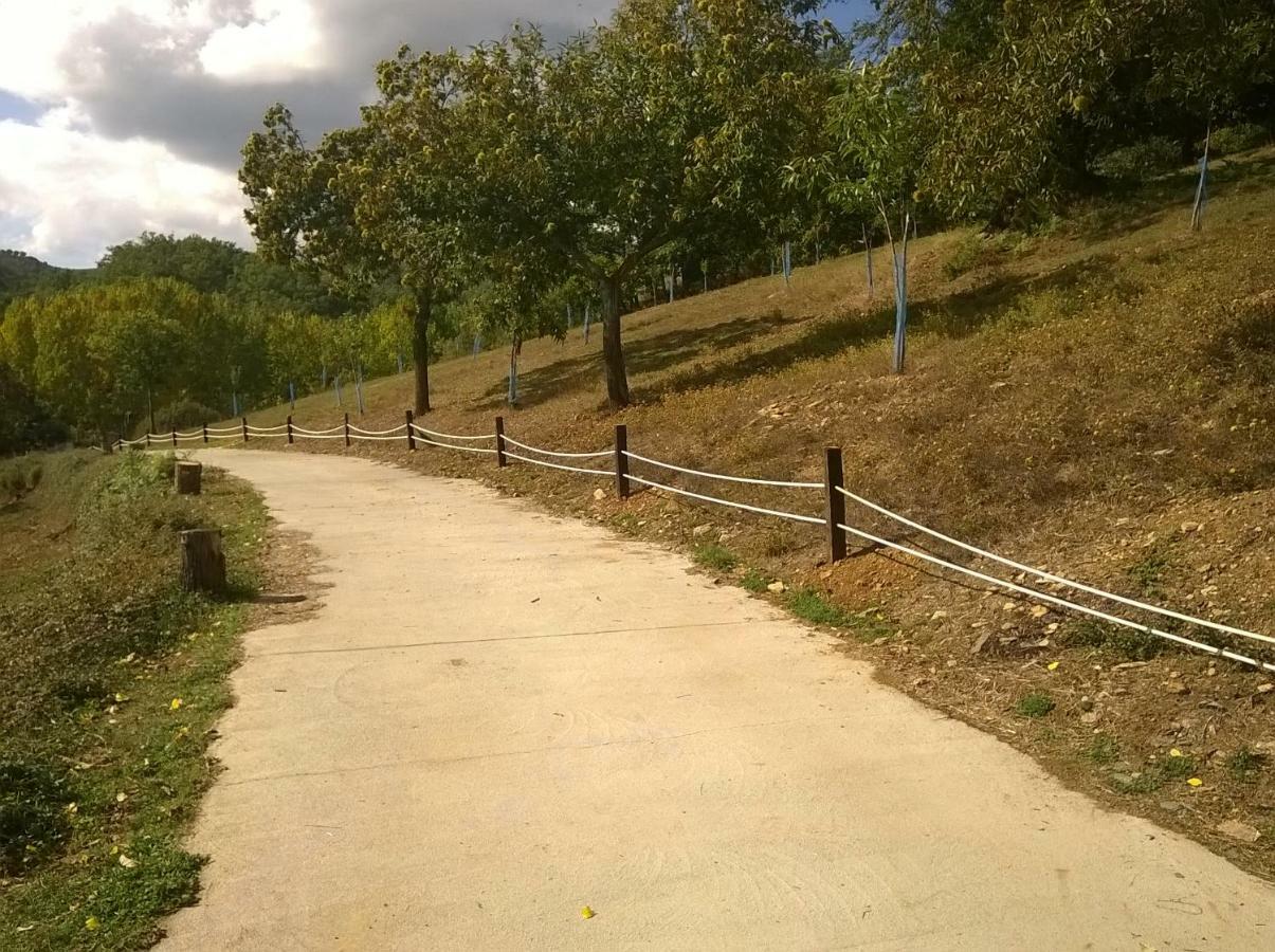 Alojamento Local Madre De Cima Vinhais Zewnętrze zdjęcie